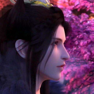 巴少年为带回被偷走的羊被以军枪杀